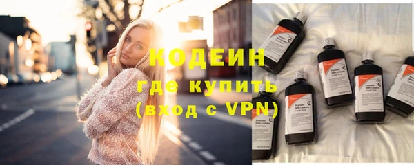 прущие грибы Балахна
