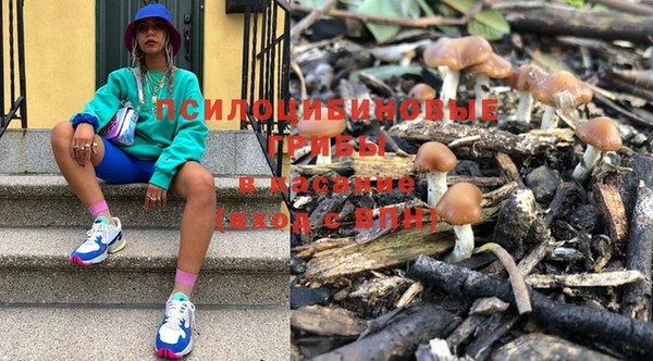трава Баксан