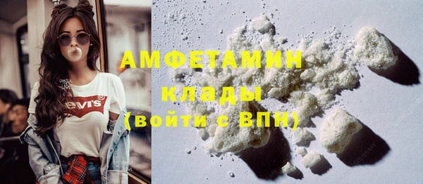 прущие грибы Балахна