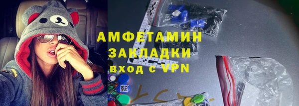 прущие грибы Балахна